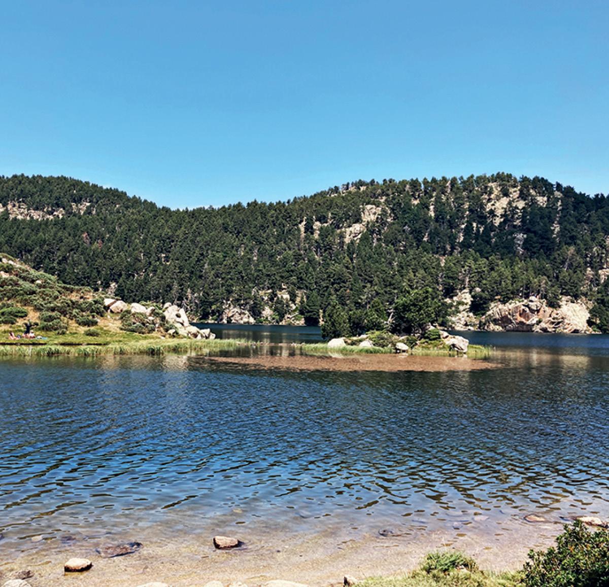 Les étangs du coll del Pam