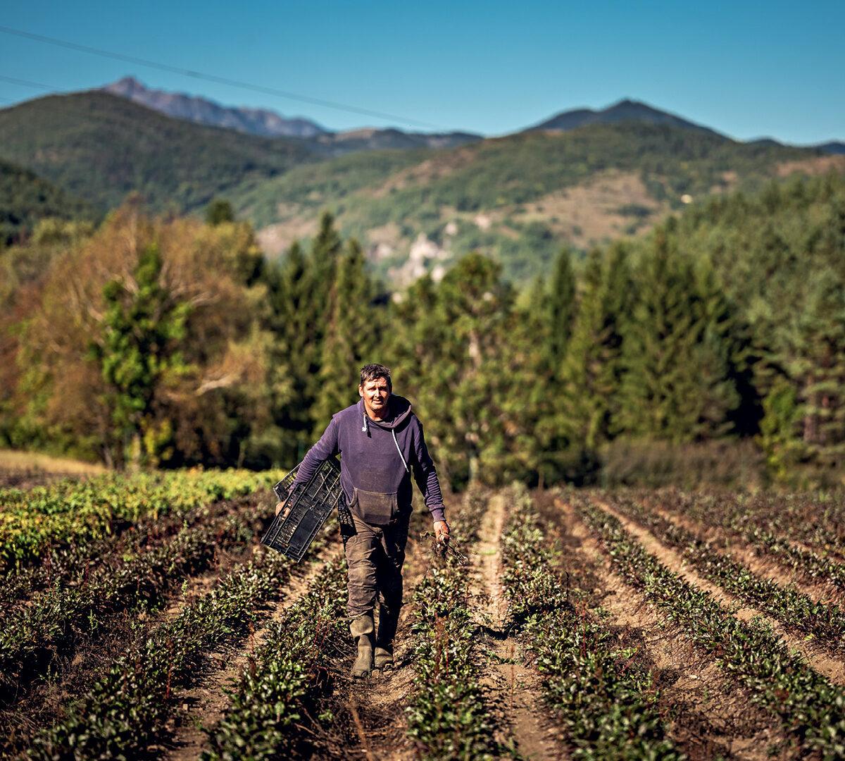 La terre partagée